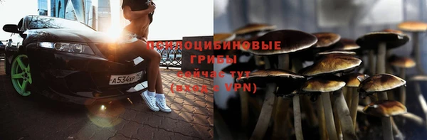 винт Козловка