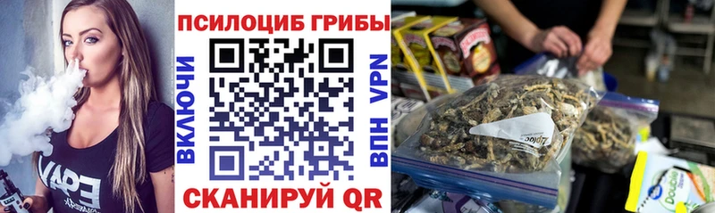 Галлюциногенные грибы Psilocybe  Купить закладки  Бодайбо 